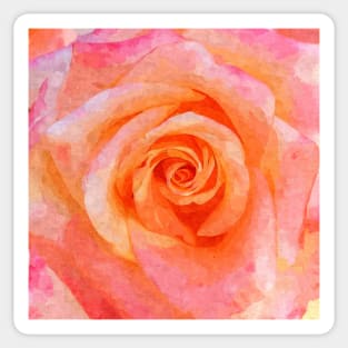 Soft Pink Rose Shabby-chic Flower Watercolor Sticker